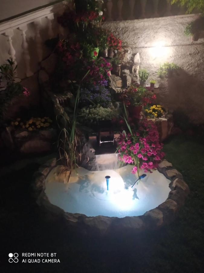Villa Jelena تريبينيي المظهر الخارجي الصورة