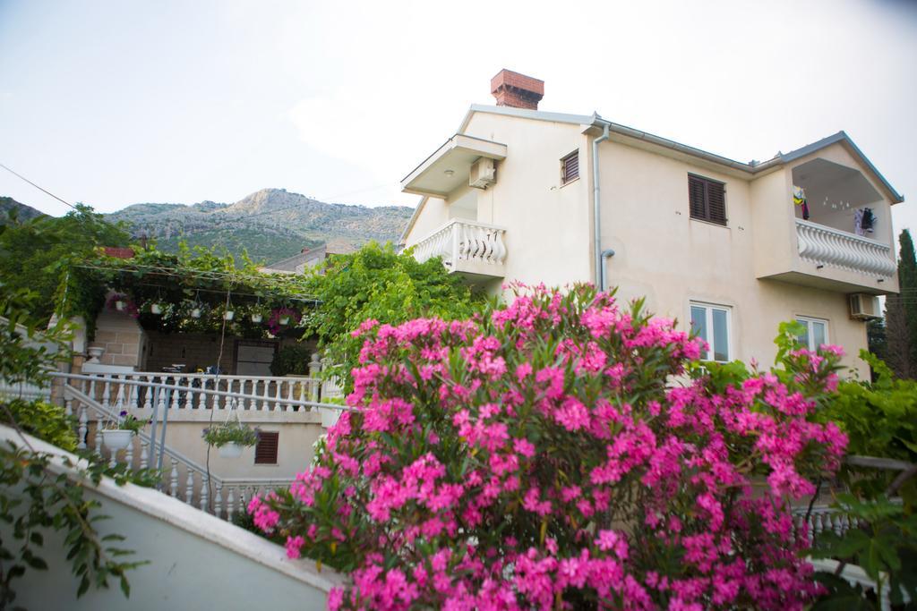 Villa Jelena تريبينيي المظهر الخارجي الصورة