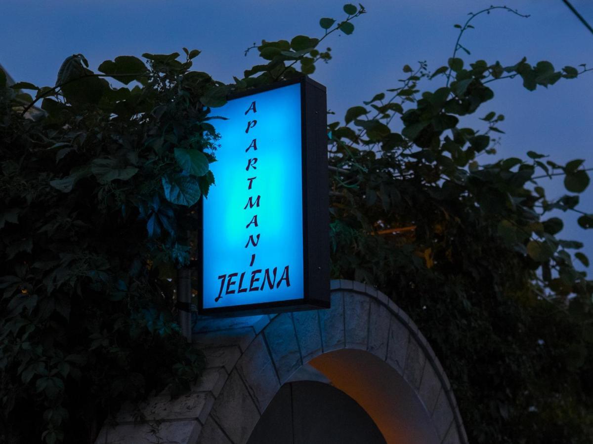 Villa Jelena تريبينيي المظهر الخارجي الصورة
